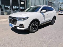 Haval H6 National Trend Edition 1.5T Automatic Urban Version - ფოტო 1