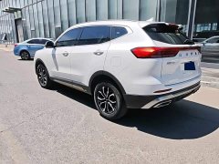 Haval H6 National Trend Edition 1.5T Automatic Urban Version - ფოტო 3