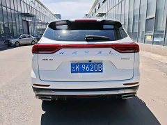 Haval H6 National Trend Edition 1.5T Automatic Urban Version - ფოტო 4