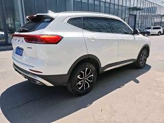 Haval H6 National Trend Edition 1.5T Automatic Urban Version - ფოტო 5