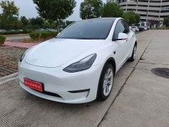 Tesla Model Y 2021 Standard Range RWD - ფოტო 1