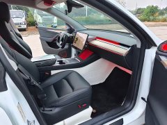 Tesla Model Y 2021 Standard Range RWD - ფოტო 12