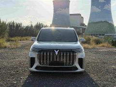 Voyah Dream PHEV Extended Range Luxury Edition - ფოტო 2