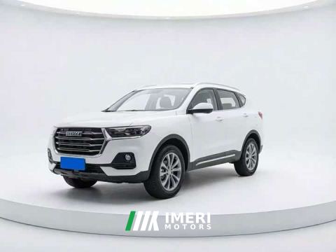 2022 Haval H6 National Trend 1.5T Automatic Champion Edition