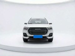 Haval H6 2021 National Trend 1.5T Automatic Champion Edition - ფოტო 2