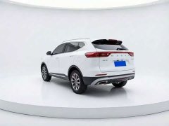 Haval H6 2021 National Trend 1.5T Automatic Champion Edition - ფოტო 4