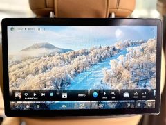 Denza D9 2022 DM-i 970 AWD Flagship - ფოტო 8