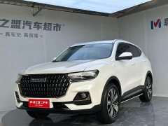 Haval H6 National Trend Edition 1.5T Automatic Champion Version - ფოტო 1