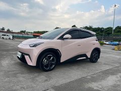 BYD Seagull Glory Edition 305km Freedom Version - ფოტო 1