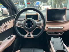 BYD Seagull Glory Edition 305km Freedom Version - ფოტო 13