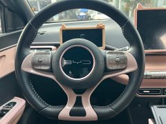 BYD Seagull Glory Edition 305km Freedom Version - ფოტო 14