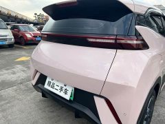 BYD Seagull Glory Edition 305km Freedom Version - ფოტო 15