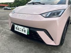 BYD Seagull Glory Edition 305km Freedom Version - ფოტო 16