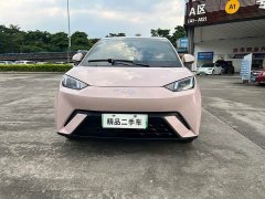 BYD Seagull Glory Edition 305km Freedom Version - ფოტო 2