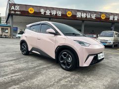 BYD Seagull Glory Edition 305km Freedom Version - ფოტო 3