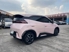 BYD Seagull Glory Edition 305km Freedom Version - ფოტო 5
