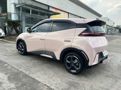 BYD Seagull Glory Edition 305km Freedom Version - ფოტო 6