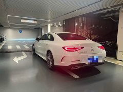 Mercedes-Benz CLS 300 Dynamic - ფოტო 3