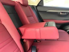Lexus NX 2020 200 AWD Sharp Luxury Edition National VI - ფოტო 20