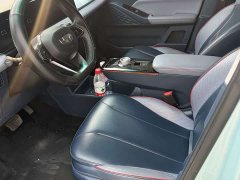 Geely Geometry E Firefly 320KM Cute Tiger 4-Seater - photo 7