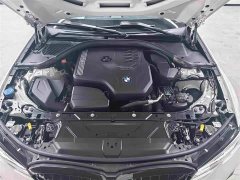 BMW 3 Series 320Li M Sport Package - ფოტო 19