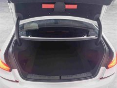 BMW 3 Series 320Li M Sport Package - ფოტო 20