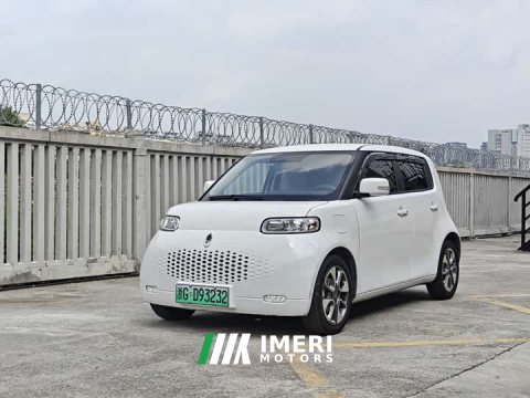 2021 ORA White Cat 2020 305km Luxury - ავტომობილი ჩინეთიდან