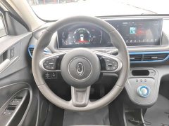 ORA White Cat 2020 305km Luxury - ფოტო 11