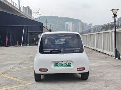 ORA White Cat 2020 305km Luxury - ფოტო 6
