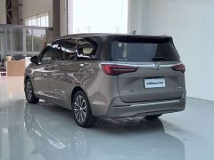 Buick GL8 ES Lu Zun 653T Premier - ფოტო 11