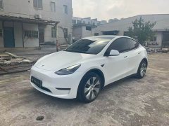 Tesla Model Y Standard Range RWD - photo 1