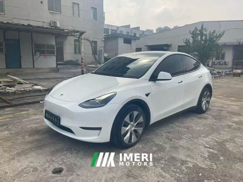 2021 Tesla Model Y Standard Range RWD - ავტომობილი ჩინეთიდან