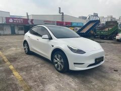 Tesla Model Y Standard Range RWD - photo 3