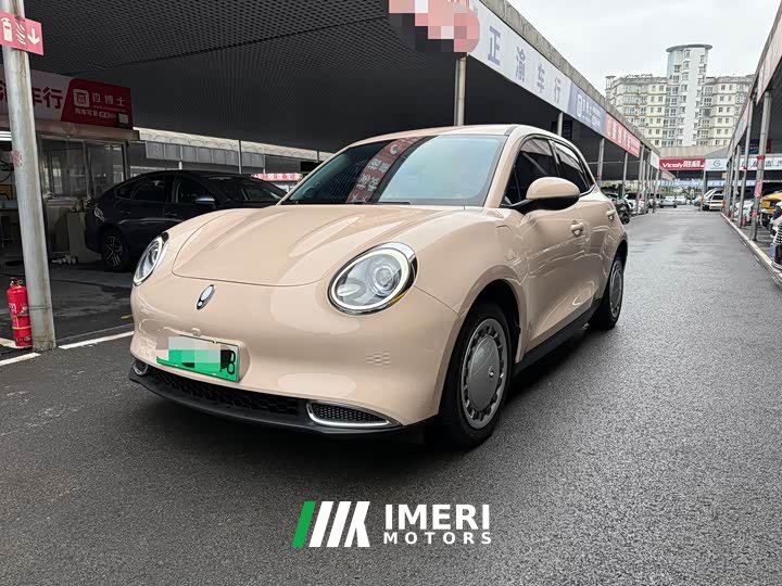 ORA Good Cat 400km Standard Range Luxury Ternary Lithium - ავტომობილი ჩინეთიდან