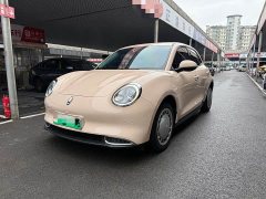 ORA Good Cat 400km Standard Range Luxury Ternary Lithium - ფოტო 1