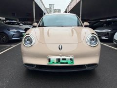 ORA Good Cat 400km Standard Range Luxury Ternary Lithium - ფოტო 2