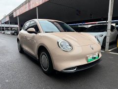 ORA Good Cat 400km Standard Range Luxury Ternary Lithium - ფოტო 3