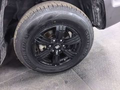 Tank 300 Off-Road Edition 2.0T Conqueror - ფოტო 6