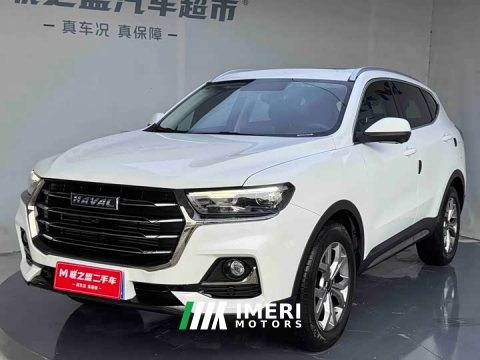 2022 Haval H6 2021 National Trend 1.5T Automatic Champion Edition - ავტომობილი ჩინეთიდან
