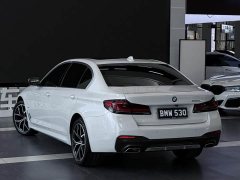 BMW 5 Series Facelift 530Li Luxury M Sport Package - ფოტო 4