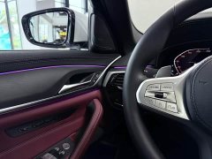 BMW 5 Series Facelift 530Li Luxury M Sport Package - ფოტო 9