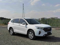 Haval M6 PLUS 1.5T DCT Elite Smart Connected Edition - ფოტო 3