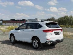 Haval M6 PLUS 1.5T DCT Elite Smart Connected Edition - ფოტო 6
