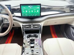 BYD Qin PLUS 2023 Champion Edition DM-i 55KM Leading - ფოტო 16