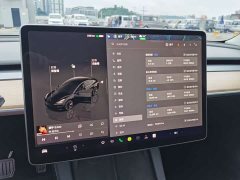Tesla Model 3 2022 Rear-Wheel Drive - ფოტო 8