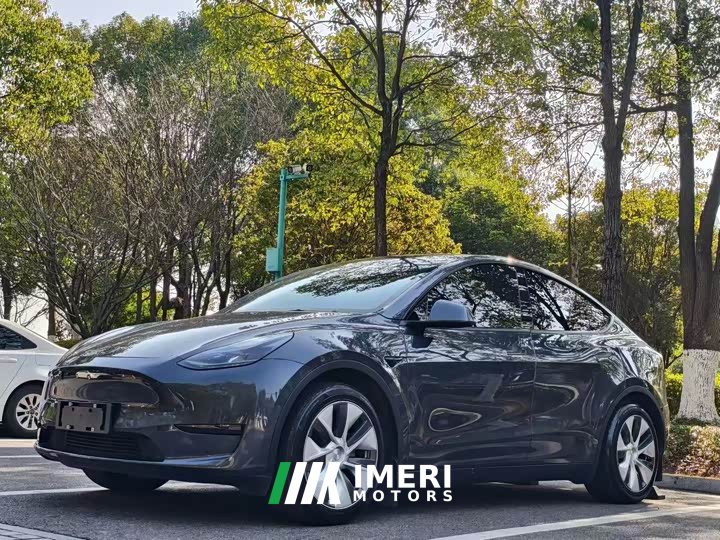 Tesla Model Y Rear-Wheel Drive - car from China