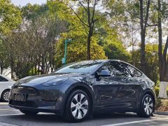 Tesla Model Y Rear-Wheel Drive - photo 1