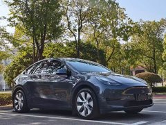 Tesla Model Y Rear-Wheel Drive - photo 3
