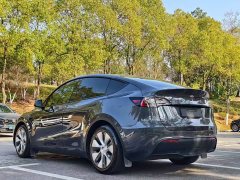 Tesla Model Y Rear-Wheel Drive - photo 9
