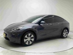 Tesla Model Y Long Range All-Wheel Drive - ფოტო 1